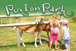 puxton park